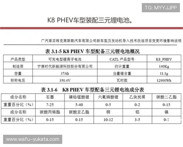 K8电投游戏安全性分析及选择正规平台保障您的资金安全